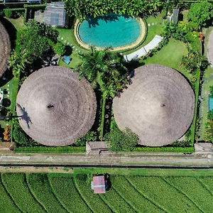 https://4-private-3-bedroom-mitte-villas-in-umalas.hotelsseminyak.net